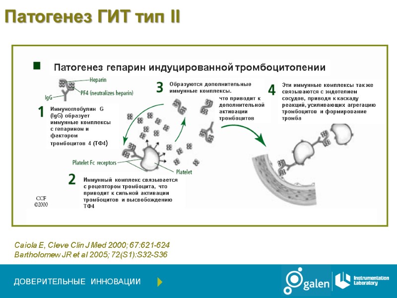 Патогенез ГИТ тип II Caiola E, Cleve Clin J Med 2000; 67:621-624  